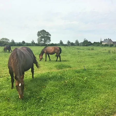Le Pressoir De La Gervaiserie - 300m De La * Réville