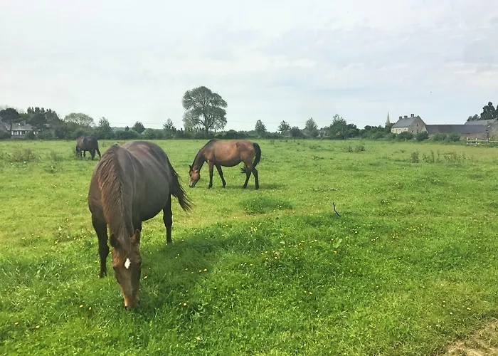 Le Pressoir De La Gervaiserie - 300m De La * Réville